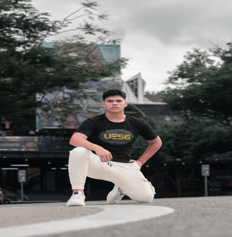 UESG Urban
